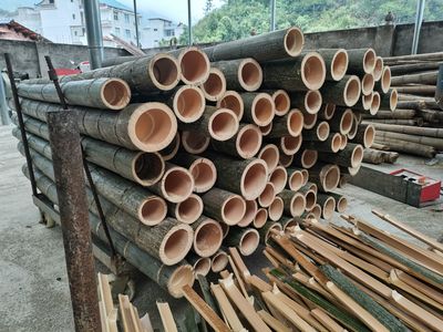 黄石阳新首家竹产品加工厂投产