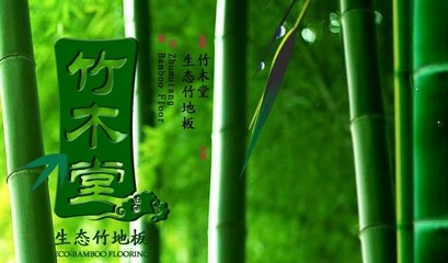 竹木堂开店创业指南_竹木堂投资创富项目介绍