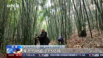 产值4100多亿元 这些竹制品你见过吗?