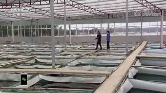 壮丽70年 奋斗新时代丨从手工劳动到机械化生产,培育特色产业,宜兴正唱响着新时代的田园牧歌