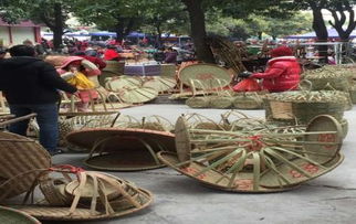 花都乡村记忆 还记得 工圈 窝仔 等农耕时代的竹制工具吗