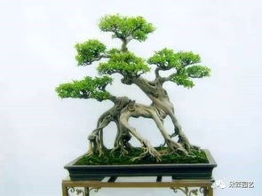 大师之作