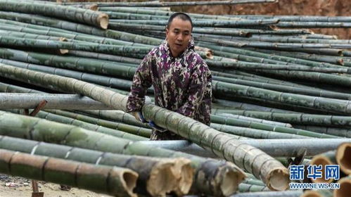广西融安 开发竹木制品拓宽脱贫路