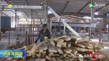 西兰乡亿森竹业:走可持续发展的绿色道路