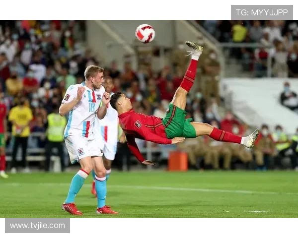 塞尔维亚门将小米林因背部伤势无缘十月世预赛球队面临防线新考验